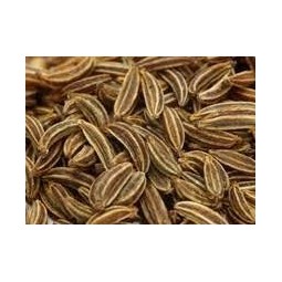 KUMMEL Frutti Interi 50g