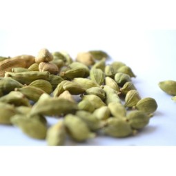 cardamomo-verde-semi