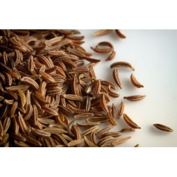 cumino-di-malta-frutti-interi