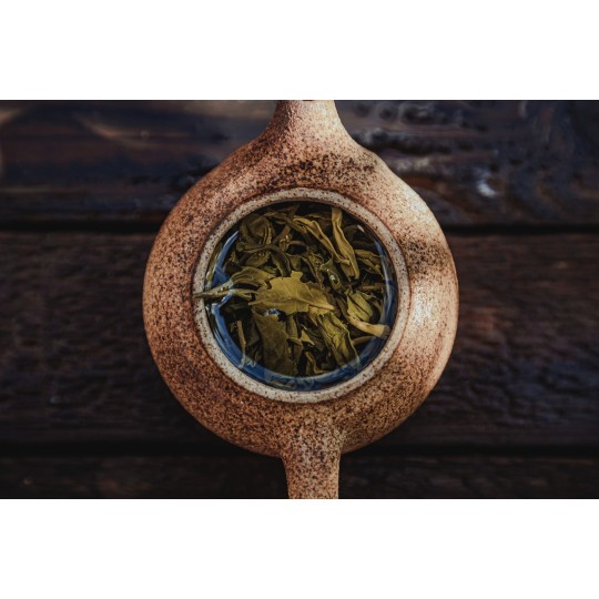 tè-verde-bancha-foglie-intere