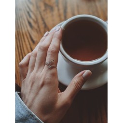 tè-darjeeling-foglie