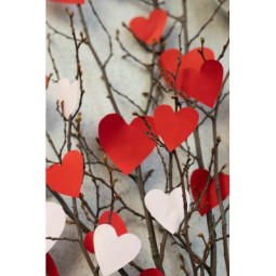 salute-del-cuore