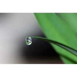 detox-naturale-post-vaccino