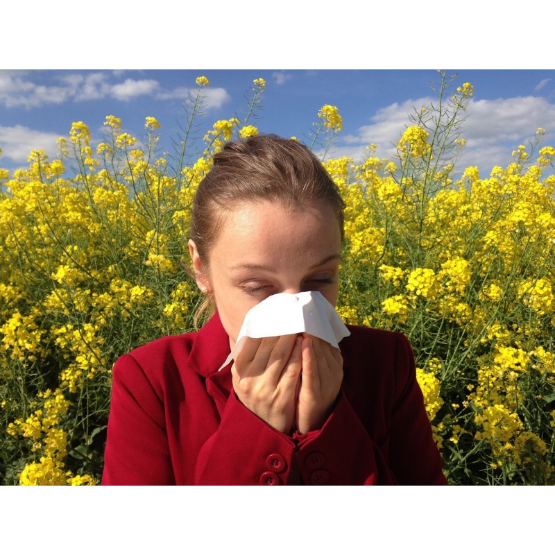 Allergia primaverile