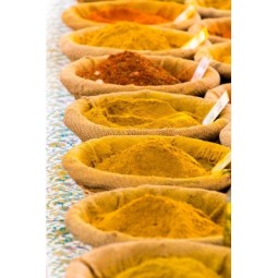 CURRY POWDER Miscela di Spezie in Polvere 50g