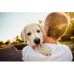 Parassiti ciao, ciao! Bimbi