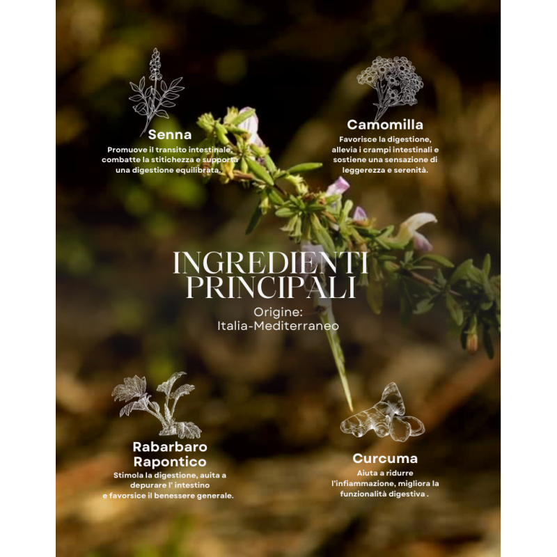 Foto con ramoscello di erba aromatica in primo piano e sfondo di altre erbe