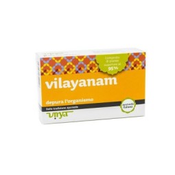 Vilayanam