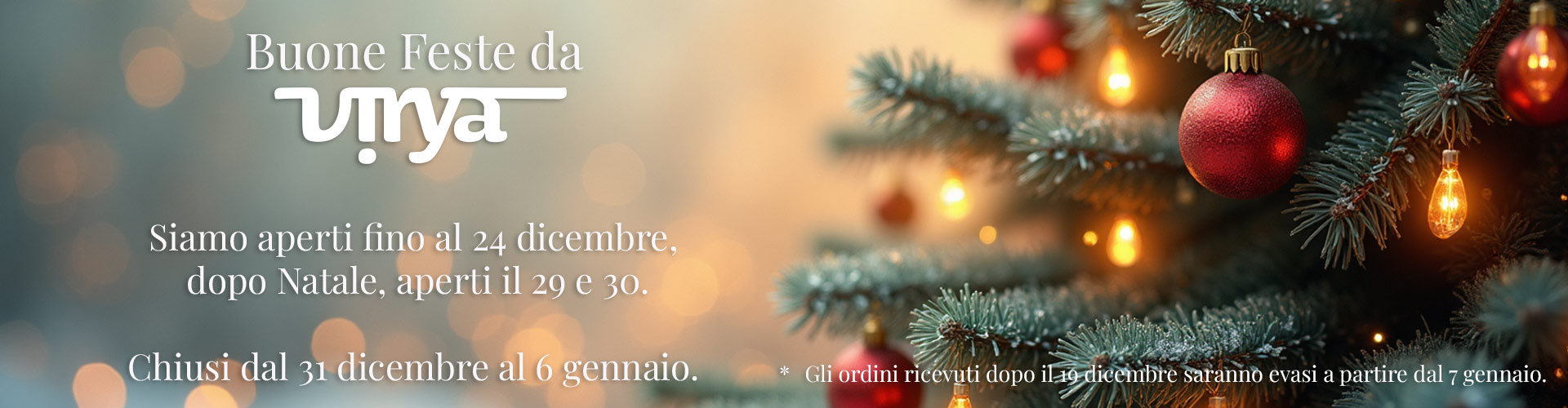 Buon Natale da Virya